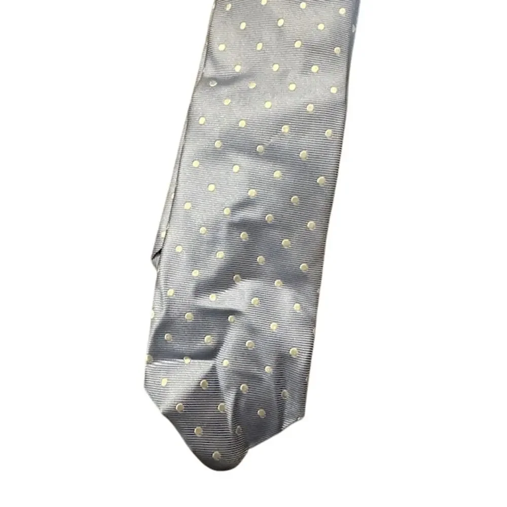 J.Crew Baby Blue White Polka Dot Ludlow Tie Playful Pattern Men